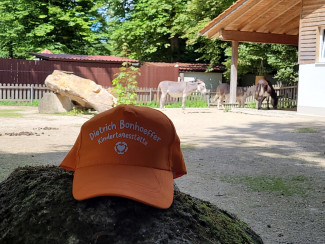 Unsere orangene Cap liegt auf einem Stein vor den Eseln.