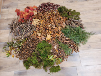 Herbstmandala aus Moos, Rinde, Eicheln, Blättern, Bucheckern 