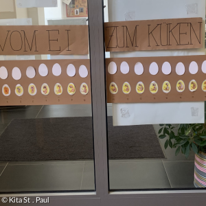 Vom Ei zum Küken 