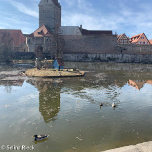 Rothenburgerweiher 